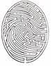 Labyrinth diagram